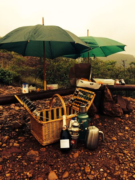 We love the rain on safari!  All the aromas are accentuated as the bush rejoice.  Early morning coffee with a glass of bubbly at a look out point with a picnic basket of tasty safari treats. Safari Treats, Bush Camp, Love The Rain, Early Morning Coffee, Campaign Furniture, Picnic Ideas, On Safari, Sunny Afternoon, The Bush