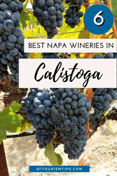 Calistoga Wineries: Why You Should Visit These 6 Top Picks Top Wineries In Napa Valley, Calistoga Wineries, Map Of Napa Valley Wineries, Napa Valley Winery Map, Opus One Winery Napa Valley, Best Sparkling Wine, Best Napa Valley Wine Tours, Napa Valley Trip, Cali Trip