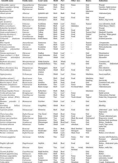 Names Of Plants, Plant Remedies, Skin Burns, Plant Tissue, Stomach Ache, Fungal Infection, Parts Of A Plant, Traditional Medicine, Plant Species