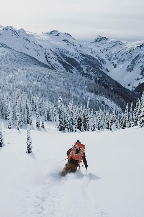 Back country. #thepursuitofprogression #Lufelive #Ski #Skiing #LA #NY: Ski Inspiration, Ski Bums, Powder Skiing, Backcountry Skiing, Best Ski Resorts, Ski Outfit, Vail Colorado, Ski Touring, Alpine Skiing