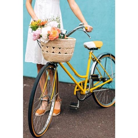 Dog bike basket