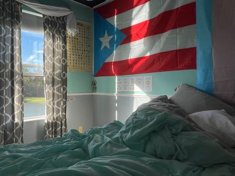 Seasonal Room, Flag Hanging, Puerto Rico Pictures, Puerto Rico Art, Puerto Rican Culture, Pinterest Room Decor, Room Goals, Dream House Rooms, Pretty Room