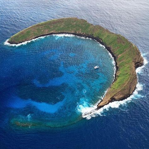 Molokini Crater (Maui) - All You Need to Know Before You Go (with Photos) - TripAdvisor Molokini Crater, We Are The World, Future Travel, Maui Hawaii, Water Activities, Pretty Places, Kauai, Places Around The World, Honolulu