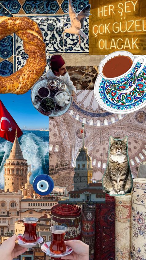 #istanbul #çay #turkishtea #turkey #travel #istanbulmoodboard #istanbultraveltips #turkishcoffee Turkey Culture, Istanbul Turkey Photography, Istanbul Photography, Sushi Night, Travel Collage, Turkey Photos, Istanbul Travel, Turkish Culture, Cat Books