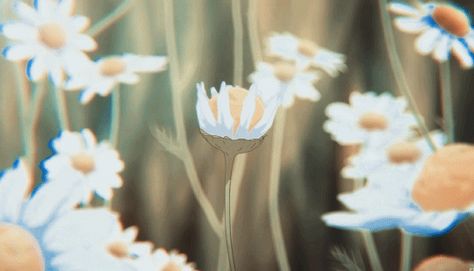 Anime Flower, Gif Background, Icon Gif, Cream Aesthetic, Flowers Gif, Banner Gif, Header Banner, Spring Aesthetic, Nature Gif