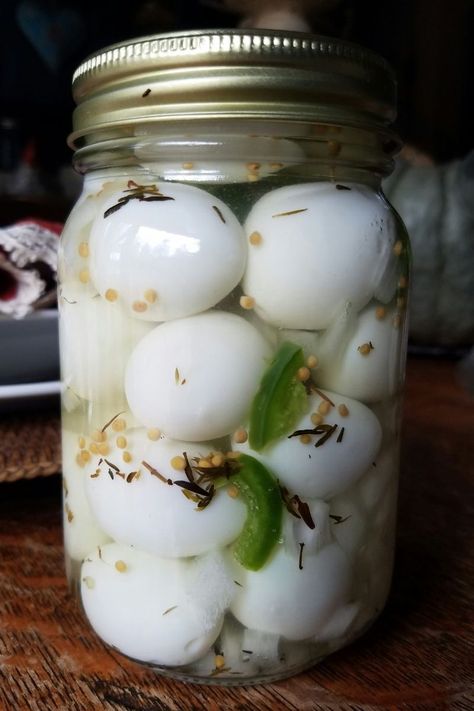 Easy Pickled Quail Eggs Recipe Jalapeno Brine, Pheasant Pen, Pickeled Eggs, Fermented Eggs, Quail Hutch, Quail Farming, Spicy Pickled Eggs, Quail House, Pickled Quail Eggs