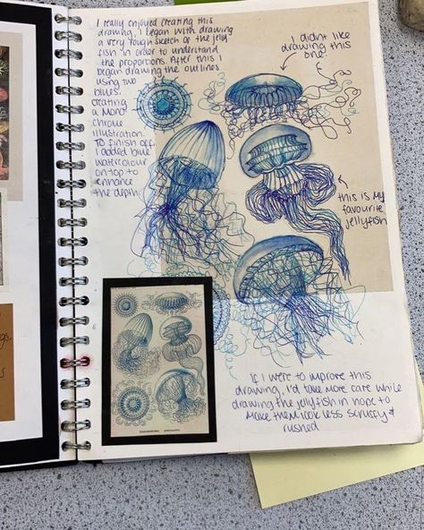 Gcse Art Land Sea And Sky 2023, Visual Art Diary Aesthetic, Ocean Gcse Art, Out Of The Ordinary Art, Gcse Art Land Sea And Sky, Unique Sketchbook Pages, Water Textiles Sketchbook, Natural Forms Sketchbook, Jellyfish Artist