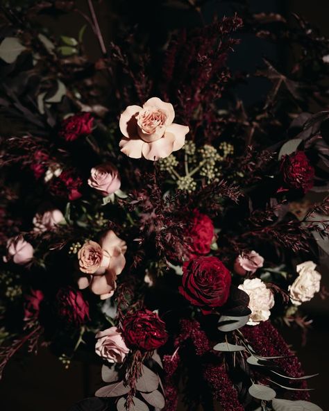 Dark, moody, glamorous & romantic ❤️ Phil & Louise Photographer: @maeganbrownmoments Dress: @jennypackham Cake: @sweetcakesofmine Florist: @bouquetmelbourne Band: @bakerboysband Coordinator: @weddings.by.e Venue: @library_vic / @weddings_showtimeeventgroup Hair & Makeup: @am.mua #burgundyweddingflorals #weddingfloralsmelbourne #weddingflowersmelbourne #weddingbouquet #weddingfloristmelbourne #melbourneweddingflorist #weddingflowers #weddingflorist #bridalbouquet #melbournewedding Dark And Moody Wedding Florals, Dark Fall Bouquet, Dark Moody Wedding Bouquet, Moody Romantic Wedding Flowers, Winter Wedding Moody, Dark Colors Wedding, Gothic Wedding Florals, Dark And Moody Floral Arrangements, Dark Floral Bouquet