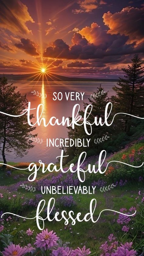 Thankful Grateful Blessed Harvest Blessings Quotes, So Much To Be Grateful For, Have A Blessed Day Quotes Inspirational, Beautiful Thanksgiving Quotes, Happy Thanks Giving Quotes, Be Thankful For What You Have Quotes, Thankful Blessed Quotes, Blessed Thanksgiving Images, Fall Thankful Quotes