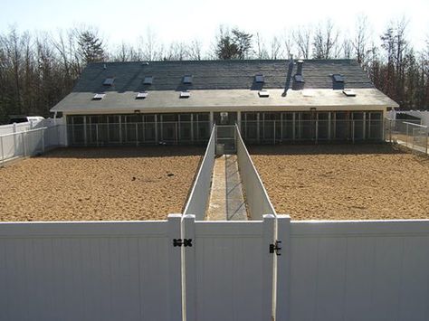 Shipping Container Dog Kennel, Outdoor Dog Kennels, Kennel Business, Dog Kennel And Run, Dog Boarding Ideas, Dog Boarding Facility, Dog Boarding Kennels, Boarding Facility, Kennel Ideas