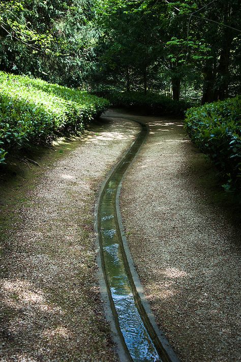 Garden Rill Ideas, Water Rill, Waterscape Design, Yard Drainage, Sunken Garden, House And Garden, Garden Architecture, Water Features In The Garden, Rain Garden