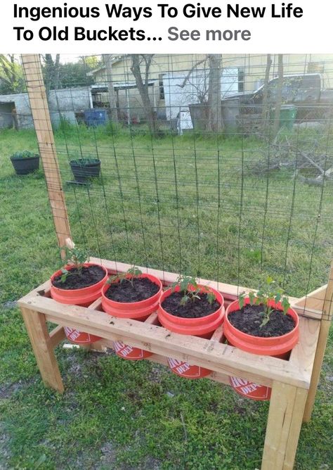 Raised Garden Beds Diy Vegetables, Bucket Garden, Garden Beds Diy, Bucket Gardening, Building A Raised Garden, Vegetable Garden Planning, Vegetable Garden Diy, Diy Raised Garden, Backyard Vegetable Gardens