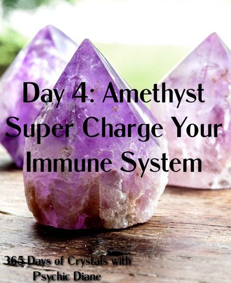 365 Days of Crystals - Day 4: Amethyst Super Charge Your Immune System Virgo Planet, Psychic Attacks, Higher State Of Consciousness, Autumnal Equinox, Earth Gift, Sweet Violets, Power Stone, Celtic Symbols, Watermelon Tourmaline