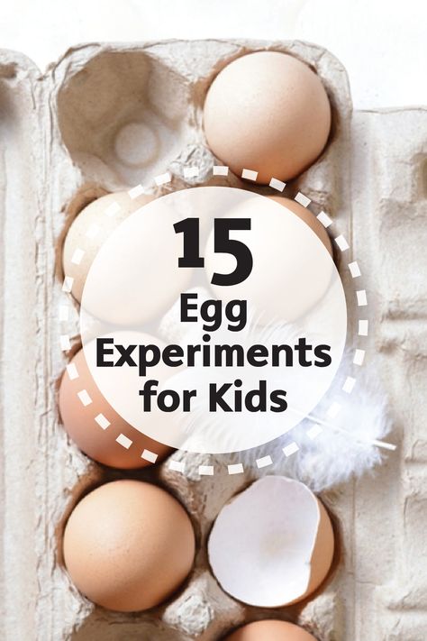 Crafts meet science with these 15 Egg Experiments for Kids. You’ll love checking out these fun and creative projects with your family. Plus, they’re the perfect easy and fun activity for fall. Egg Science Preschool, Egg Science, Egg Science Experiment For Kids, Egg Experiments For Kids Dental Health, Egg Race Game For Kids, Egg Experiments For Preschool, Eggs Preschool Activities, Egg Activities For Kids, Egg Experiment