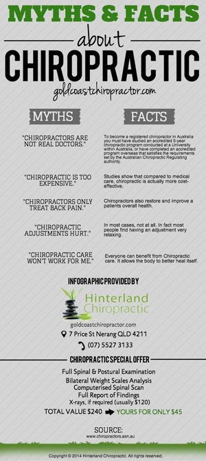 Myths And Facts About Chiropractic Infographic Visit us on http://goldcoastchiropractor.com Chiropractic Benefits, Chiropractic Quotes, Chiropractic Marketing, Benefits Of Chiropractic Care, Chiropractic Therapy, Myths And Facts, Family Chiropractic, Chiropractic Wellness, Chiropractic Adjustment