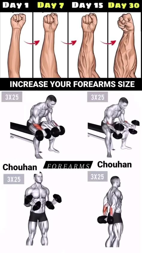 Forearm Building Exercises, Arm Building Exercises, Mussel Building Workout, Forearm Home Workout For Men, Athlete Arm Workout, Four Arm Workouts, Arms Dumbells Workout, Dumbell Forearm Workout, For Arm Workout