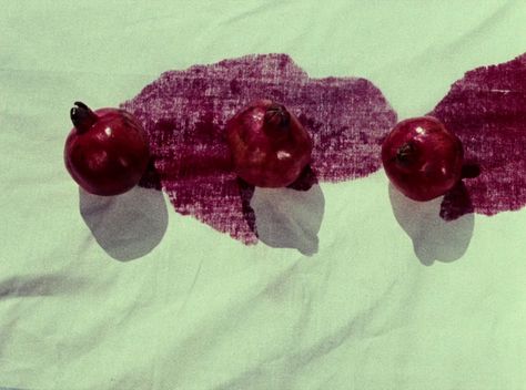 The Colour of Pomegranates – FILMGRAB [ • ] Pomegranate Quotes, The Color Of Pomegranates, Sergei Parajanov, Outdoors Tattoo, Moving Image, Film Stills, Pics Art, Animal Design, Architecture Art