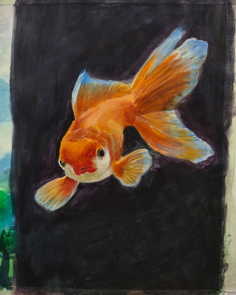 Finally managed to finish it!!! . . . #art #artistsoninstagram #fish #fishdrawing #acrylic #painting #acrylicpainting #acquaticpaintings Acrylic Fish Painting, Fish Painting Acrylic, Fish Acrylic Painting, Fish Acrylic, Fish Drawings, Gcse Art, Fish Painting, Life Art, Animal Crossing