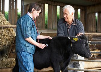 Veterinarians care for the health of animals and work to improve public health. They diagnose, treat, and research medical conditions and diseases of pets, livestock, and other animals. Farm Vet, Parasitic Worms, Raising Cattle, Shtf Preparedness, Cattle Farming, Survival Life, Veterinary Medicine, Vet Tech, Hobby Farms