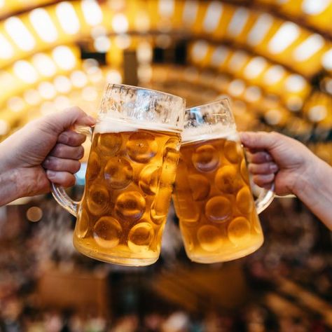 6 Beer Events Brewing in Milwaukee This Week: Nov. 3-6Plan a trip to Mequon to celebrate Foxtown Brewing's birthday or hit up Stein & Dine at State Fair Park. You can't miss with either one. Source Oktoberfest Germany, Beer Hall, Oktoberfest Beer, Michelada, Beer Custom, Beer Tasting, Bratwurst, Beer Festival, White Bear