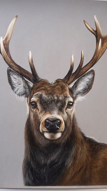 Dear Horns, Dear Painting, Stag Photography, Emily Mei, Stag Painting, British Wildlife Art, Stag Art, Deer Portrait, Deer Artwork