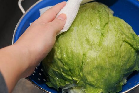 Storing Lettuce, Iceberg Lettuce Salad, Food Basics, Amazing Food Hacks, Head Of Lettuce, Iceberg Lettuce, Lettuce Salad, Cabbage Leaves, Main Dish Salads