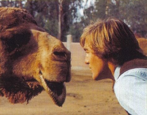 Dennis Wilson Pet Sounds Beach Boys, Dennis Wilson, Boy Photo Shoot, Pet Sounds, Surfer Boy, Wall Of Sound, Children Park, Laurel Canyon, Beach Boys