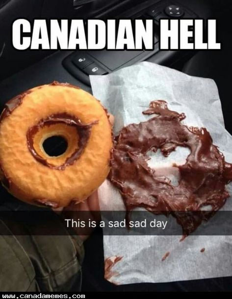 Canada Day Images, Canada Jokes, Canadian Stereotypes, Canadian Memes, Canada Memes, Canadian Humor, Meanwhile In Canada, Hilarious Dogs, Canadian Things