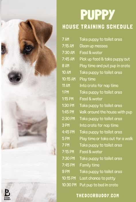 Lou Dog, Puppy Schedule, Puppy Training Schedule, New Puppy Checklist, Puppy Life, Puppy Checklist, Puppy Things, Puppy Tips, Puppies Tips