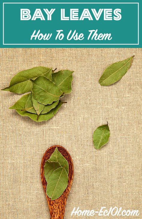 Bay Leaves Uses, Burn Bay Leaves, Bay Laurel Tree, Burning Bay Leaves, Dried Bay Leaves, Vegetable Soup Healthy, Homemade Meals, Foodie Friends, Bay Leaf