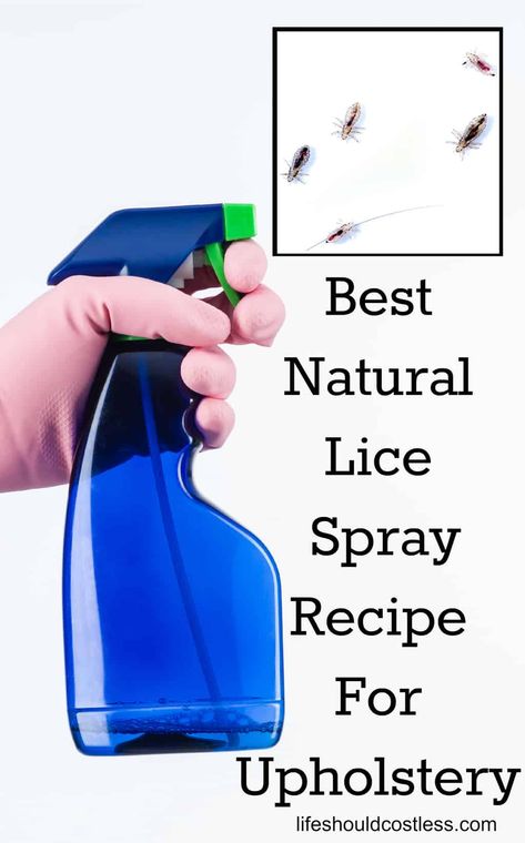 Lice Spray For Furniture, Essential Oils For Lice, Lice Prevention Spray, Lice Spray, Lice Remedies, Lice Shampoo, Hair Lice, Lice Prevention, Lice Removal