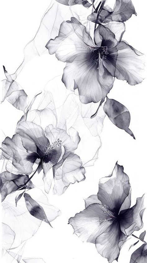 Background Black And White Aesthetic, Clothing Background Design, Black Flower Background, Wallpaper Aesthetic Black And White, Backgrounds Drawing, Sketch Wallpaper, Floral Design Wallpaper, Drawing Room Interior Design, Small Drawing