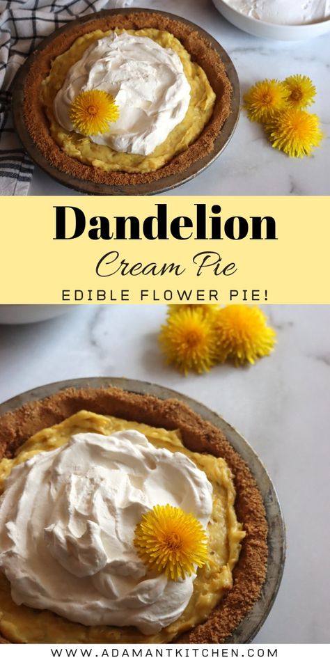 Dandelion Cream Pie (Edible Flower Pie) Simple Pie Recipe, Pie Recipe Easy, Simple Pie, Food Foraging, Edible Flowers Recipes, Spring Dessert, Wild Food Foraging, Dandelion Flowers, Foraging Recipes