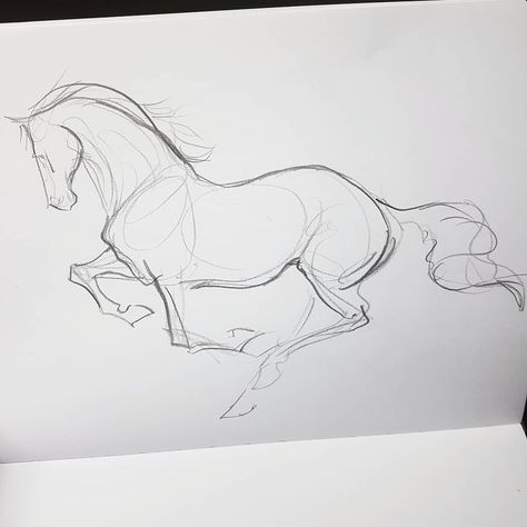 Horse Drawings Pencil, Horse Sketches, Horse Drawing Tutorial, Horse Art Drawing, Reference Ideas, Fish Drawing, Horse Sketch, Drawing Hands, Drawing Prompts