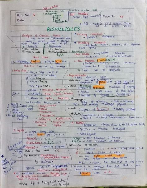 Notes of Biomolecules chapter of Class XI Biomolecules Notes, Chemistry Mind Map, Biology Flashcards, Zoology Notes, Biology Class 11, Neet Biology, Chemistry Class 12, Biology Project, Biology Diagrams