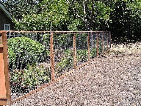 Keep the deer out this summer with an A & J deer fence. Front Yard Deer Fence, Deer Fencing For Vegetable Garden, Creative Deer Fencing, Fishing Line Deer Fence, Cheap Deer Fence For Garden, Fence To Keep Deer Out Of Garden, Deer Proof, Fenced Vegetable Garden, Cattle Panels