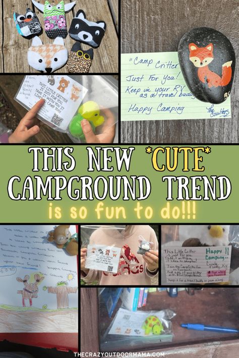 Campsite Critters - *Funnest* New Campground Trend (+Printable Inserts) Cadette Camping Ideas, Campsite Activities For Kids, Crafts To Do While Camping, Owning A Campground, Campground Activities, Turkey Run State Park, Hedgehog Craft, Happy Camp, Cedar Point