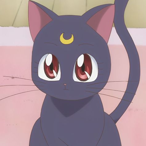 𝒔𝒂𝒊𝒍𝒐𝒓 𝒎𝒐𝒐𝒏 𝒄𝒓𝒚𝒔𝒕𝒂𝒍 Sailor Moon Cat, Sailor Moon Luna, Moon Icon, Moon Luna, Moon Crystal, Sailor Moon Crystal, Studio Ghibli, Sailor Moon, Black Cat