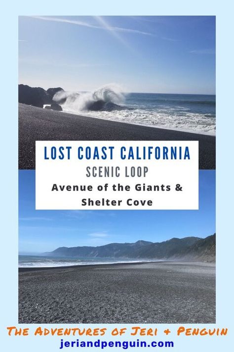 Shelter Cove California, Lost Coast California, Lost Coast Trail, Avenue Of The Giants, West Coast Travel, Pacific Northwest Travel, Highway 101, West Coast Trail, Dream Bigger