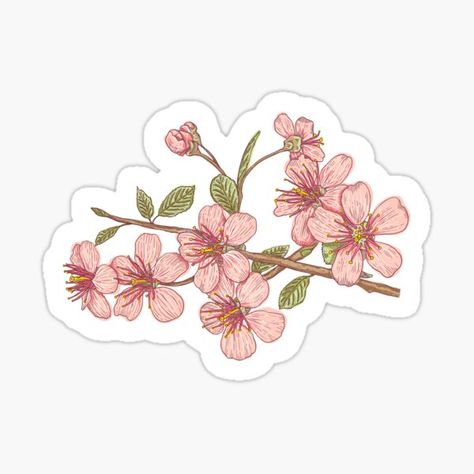 Vintage vector illustration flowers of the cherry blossoms. Pink sakura. • Millions of unique designs by independent artists. Find your thing. Boarders Designs For Projects, Overlays Tumblr, Yuru Yuri, Pink Sakura, Sakura Flower, Paper Background Texture, Bullet Journal Art, Scrapbook Printables, Bullet Journal Stickers