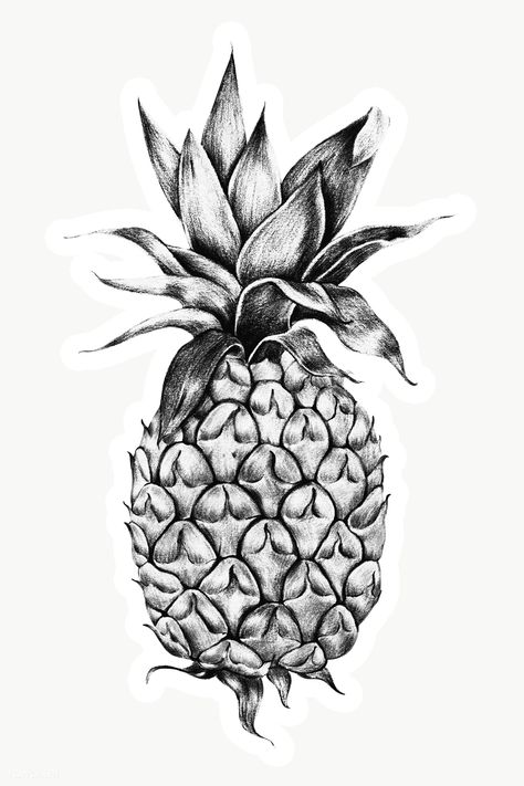 Pineapple Drawings, Halloween Desenhos, Pineapple Sketch, Pinapple Tattoos, Fruit Drawings, Pineapple Pictures, Pineapple Drawing, Pineapple Crafts, Drawing Apple