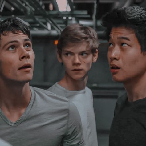 Thomas Maze Runner, Maze Runner 1, Maze Runer, Maze Runner Thomas, Maze Runner The Scorch, Maze Runner Trilogy, Maze Runner Imagines, Maze Runner Cast, Maze Runner Movie