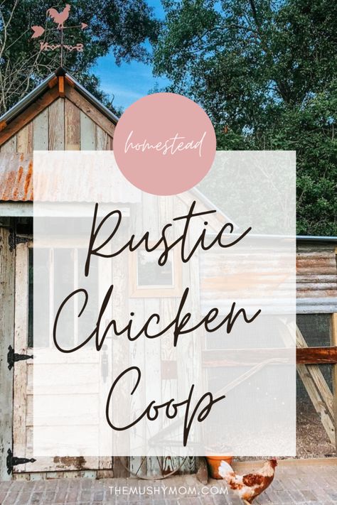 Rustic Chicken Coop Design — The Mushy Mom's Fiat Rustic Chicken Coop, Simple Homestead, Rustic Shed, Rustic Chicken, Walk In Chicken Coop, Dog Run, Backyard Chicken Coop Plans, Chicken Coop Run, Backyard Chicken Farming