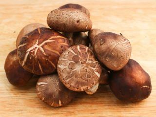 9 Proven Benefits of Reishi Mushrooms | Organic Facts Shiitake Mushrooms Benefits, Benefits Of Food, Edible Fungi, Mushroom Benefits, Mushroom Images, Shitake Mushroom, Shiitake Mushrooms, Reishi Mushroom, Healthy Benefits