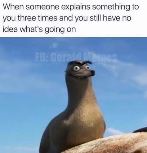 When someone explains something three times and you still don't know what's going on. Gym Memes, Disney Memes, Gym Humor, Sea Lion, The Villain, A Rock, Bones Funny, Spirit Animal, The Gym