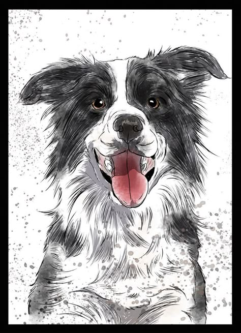 Dog Sketches, Border Collie Art, Dog Portraits Art, Animal Drawings Sketches, Dog Sketch, Labrador Retriever Puppies, Border Collie Dog, Yorkshire Terrier Puppies, Border Collies