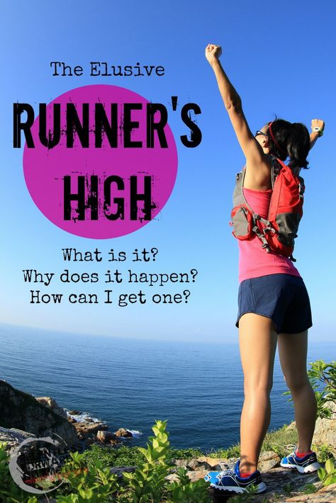 The Elusive Runner's High Runners High Quotes, Long Run Recovery Tips, Tips For Long Runs, 800m Run Tips, Only Runners Understand, Runner Humor, Runners Motivation, Pietro Boselli, High Quotes