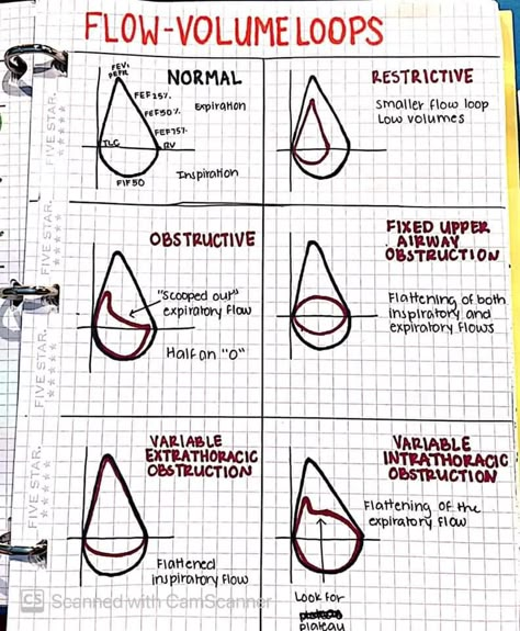 Pulmonary Function Test Notes, Respiratory Study Notes, Respiratory Therapy Student Notes, Respiratory Physiology, Respiratory Therapy Notes, Respiratory Therapist Student, Respiratory Therapy Student, Med School Study, Pulmonary Function Test