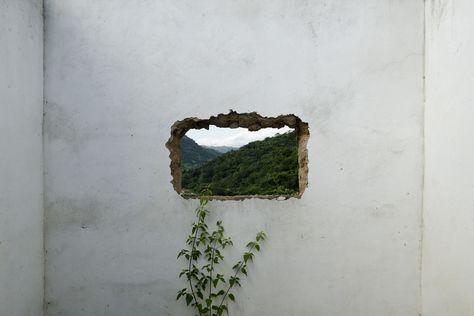 An Unexpected View Through A Peephole A Well Traveled Woman, René Magritte, Pics Art, How To Dry Basil, Aesthetic Pictures, Photography Inspiration, Herbs, Tumblr, Instagram Photo