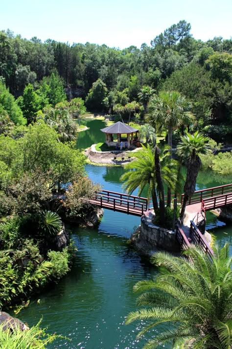 Cedar Lakes Woods And Gardens (Williston, FL) on TripAdvisor: Address, Phone Number, Reviews Gardens In Florida, Wood Gardens, Williston Florida, Zoo Pictures, Zoo Architecture, Zoo Park, Cedar Garden, Florida Springs, Garden Set